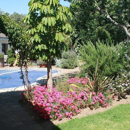 Clouds Guest House Durbanville Dış mekan fotoğraf