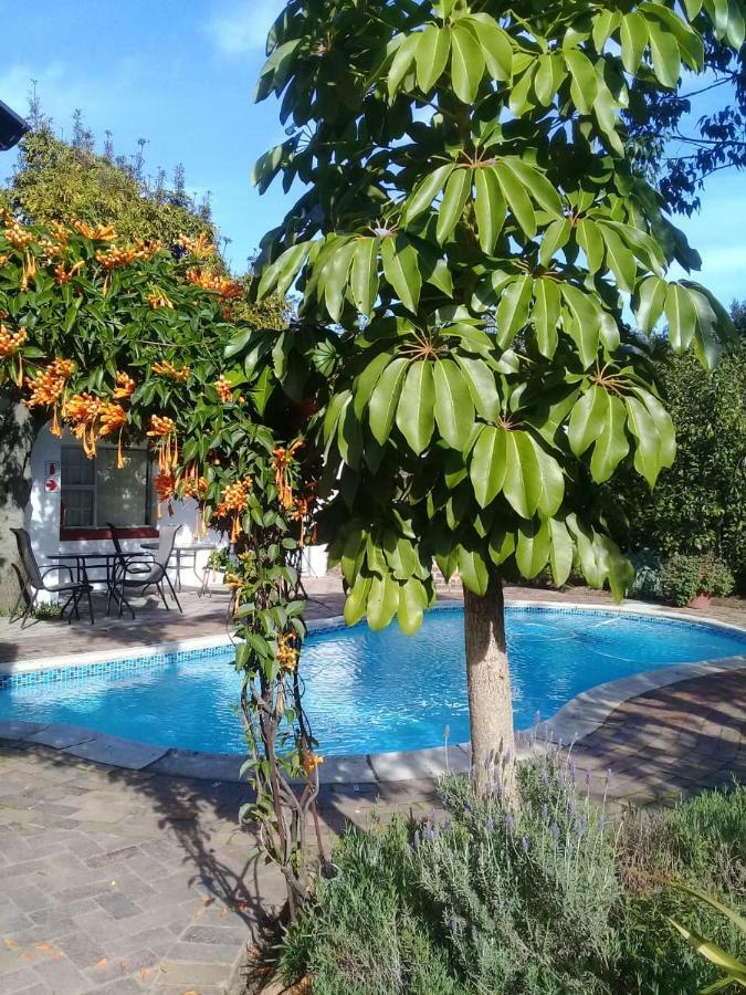 Clouds Guest House Durbanville Dış mekan fotoğraf